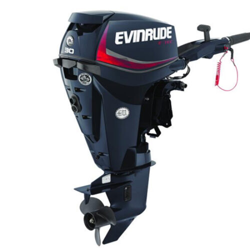 2018 Evinrude E-TEC 30 HP E30DRGL Outboard Motor