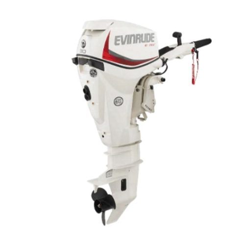 Evinrude E30DRG E-TEC Outboard Motor